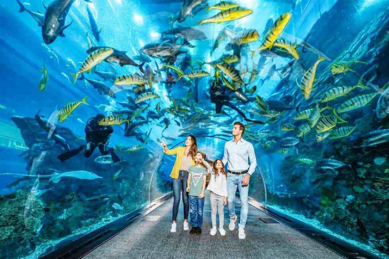 Acquario 11 Apartment Genoa Luaran gambar